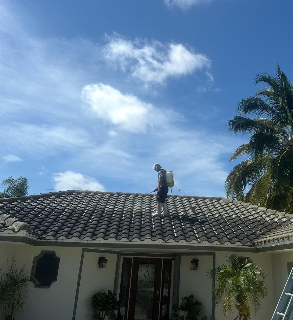 Off The Muscle technician soft washing a South Florida tile roof under palms