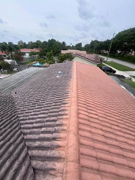 Half-clean roof reveal