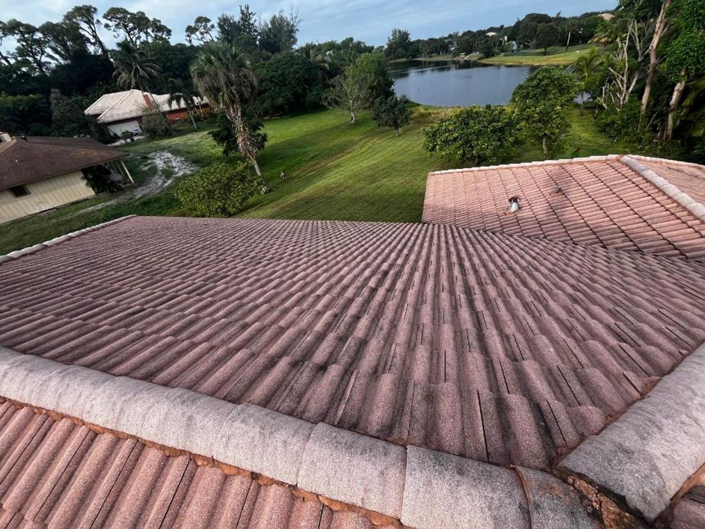 South Florida tile roof covered in black algae before cleaning